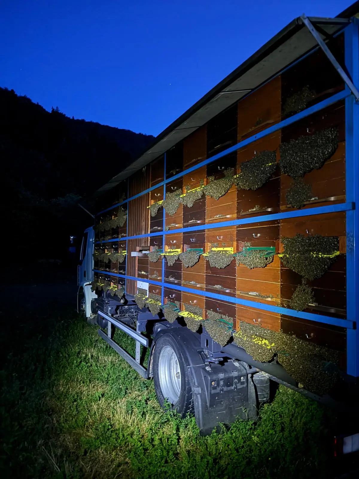 Prevozno čebelarstvo 24